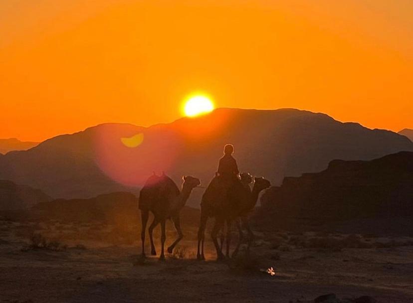 Wadi Rum Travel Camp Eksteriør bilde